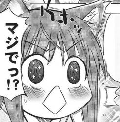 78331 B