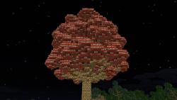 111556 B