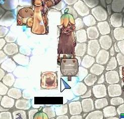 15556 B