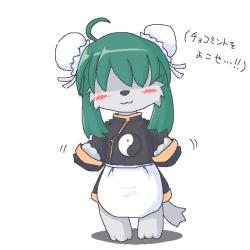 16427 B