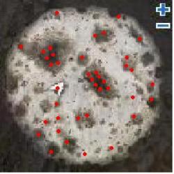 21162 B