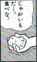 24972 B