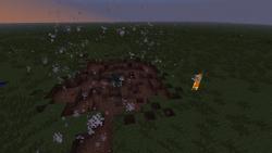 272939 B