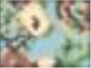 60814 B